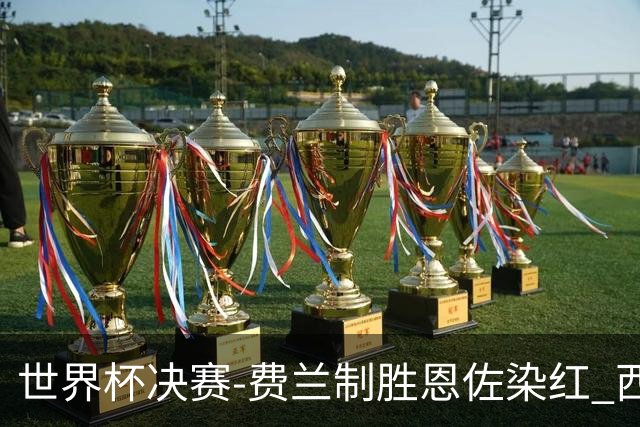 世界杯决赛-费兰制胜恩佐染红 西班牙加时1-0阿根廷夺冠