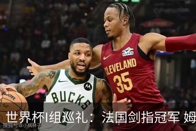 世界杯I组巡礼：法国剑指冠军 姆巴佩哈兰德同场竞技