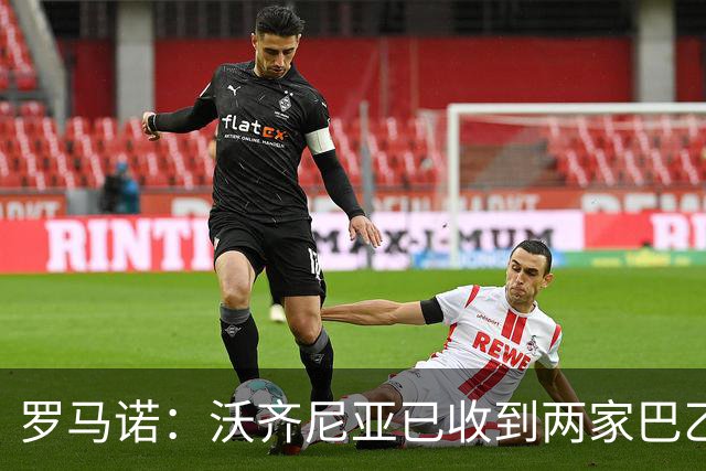 罗马诺：沃齐尼亚已收到两家巴乙俱乐部报价，目前他是自由身