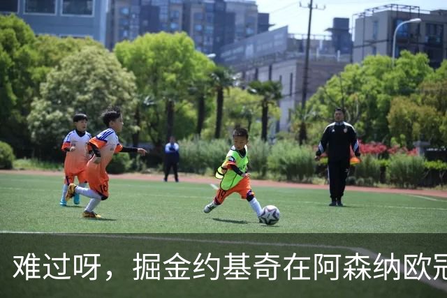 难过呀，掘金约基奇在阿森纳欧冠决赛后，加油助威的喜悦化为乌有